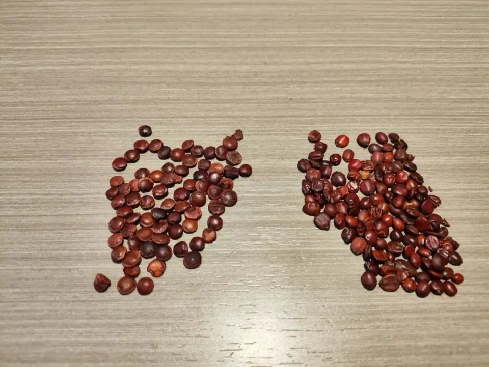 PhotoshopExtension_Image (1).jpeg